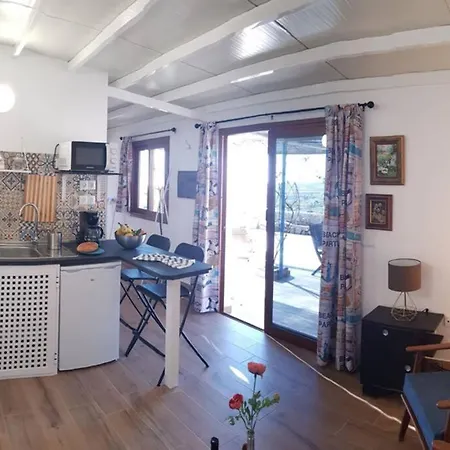 Minicasa 2 En Con Fibra Optica * Arico Viejo