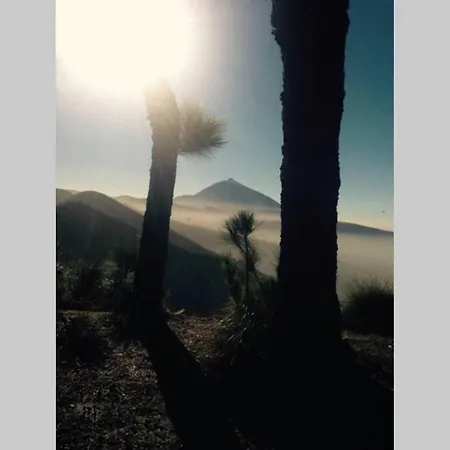 Minicasa 2 En Con Fibra Optica *