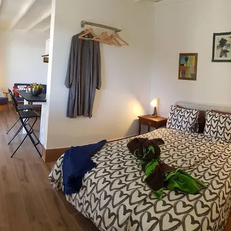 Minicasa 2 En Con Fibra Optica