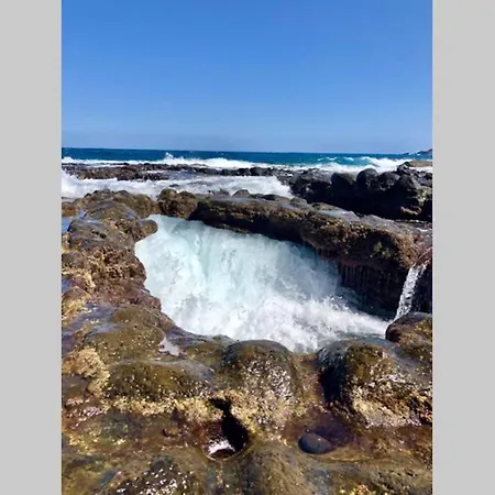 Lejlighed Minicasa 2 En Con Fibra Optica *