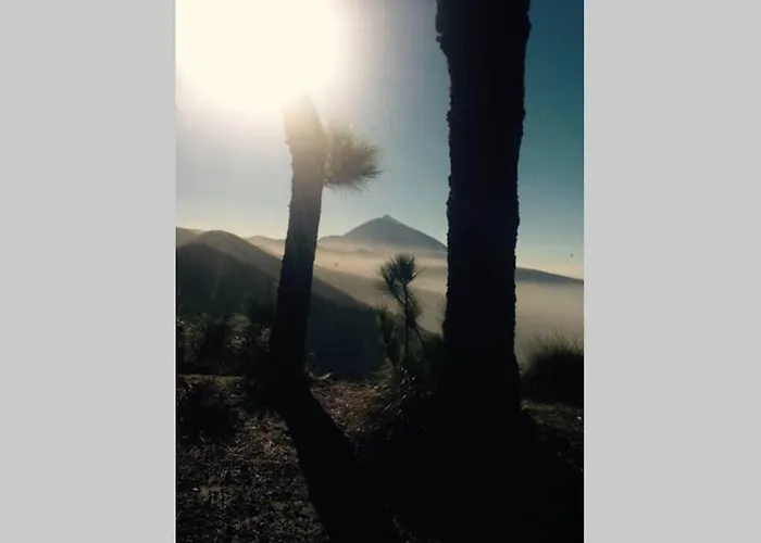 Minicasa 2 En Con Fibra Optica *