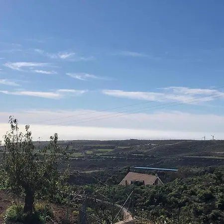 Minicasa 2 En Con Fibra Optica * Arico Viejo