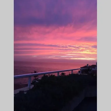 Minicasa 2 En Con Fibra Optica *